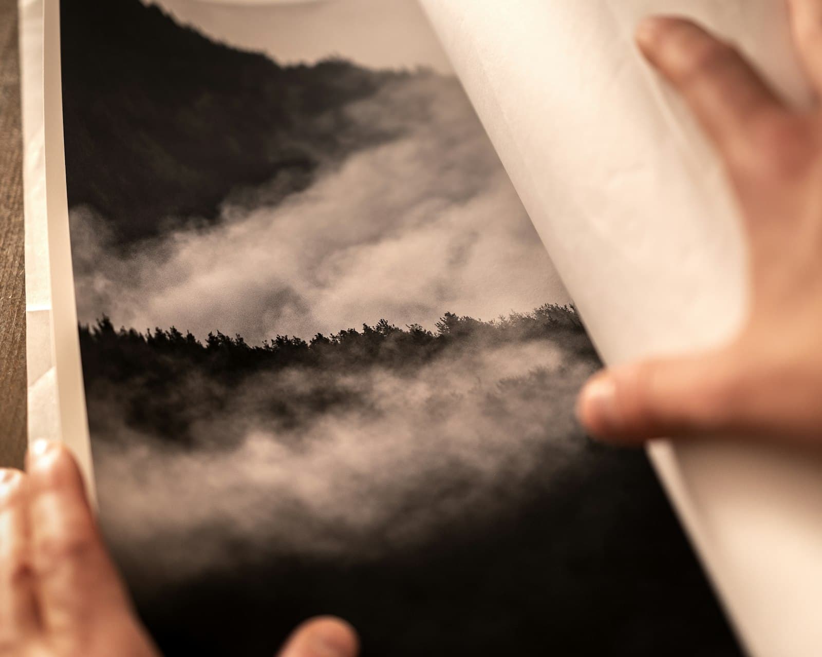 Ruky rozbaľujú veľkú vytlačenú fotografiu hmly nad lesom