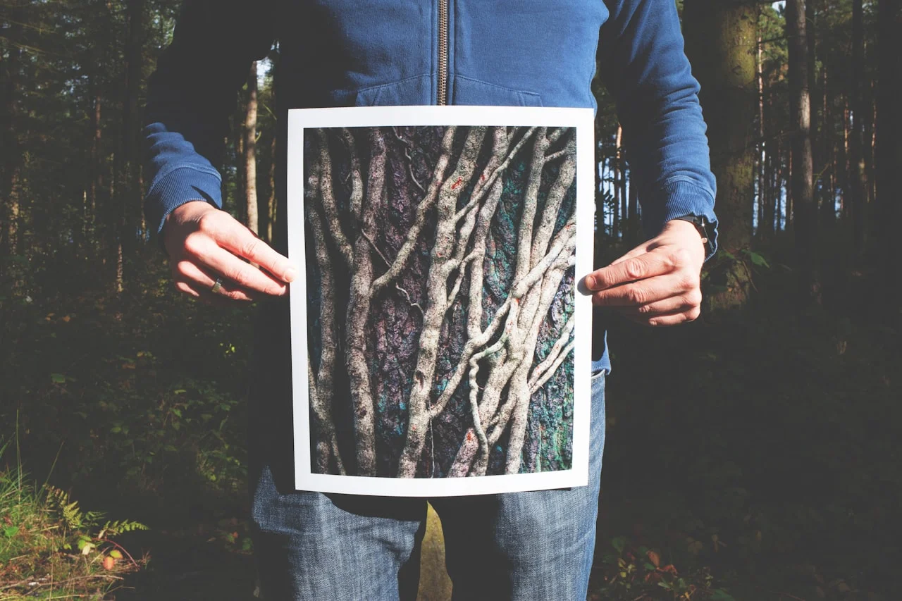 Osoba drží vytlačenú fotografiu vo formáte 30 × 40 cm v lese